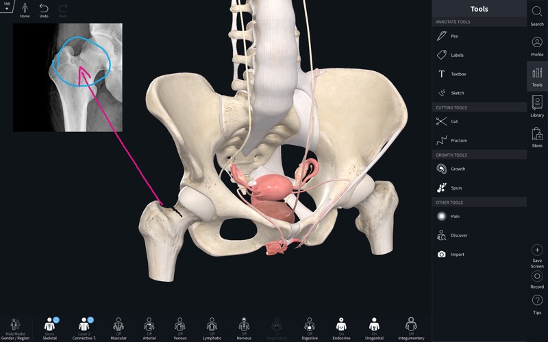 free anatomy apps for mac